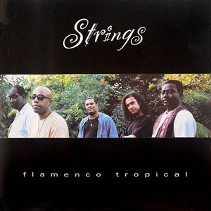 Flamenco Tropical