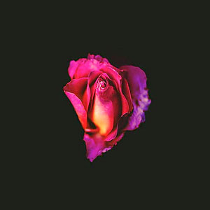 Vocal Vulnerability