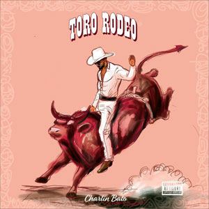 Toro Rodeo