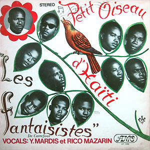 Petit Oiseau D’Haïti Ti