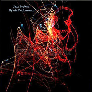 Hybrid Performance